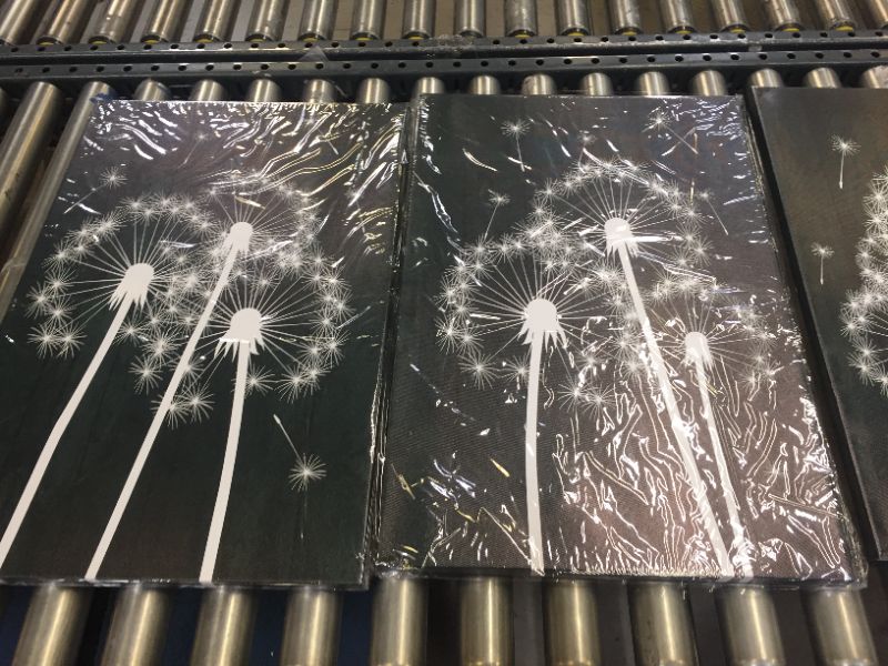 Photo 3 of Dandelion Flowers Black And White Canvas  3 Piece Wall Art---16x24inch---ONE OF THEM WAS OPENED THE REST ARE NEW---