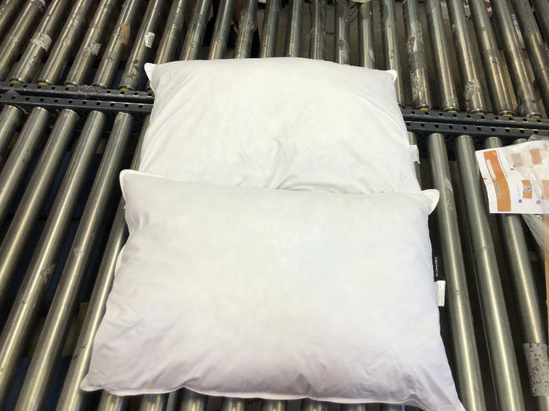 Photo 1 of 2 Pk generic pillows 