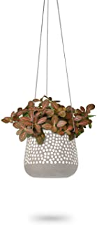 Photo 1 of Hanging Planter for Indoor Plants, White Concrete Pots, Round Air Succulent Holder Container, Cactus Pot with Rope Hanger, 23 Bees (1, Shades of Nature (Tan))
