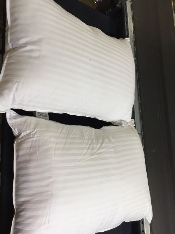 Photo 3 of 2 QUEEN SIZE PILLOWS AND 1 QUEEN SIZE FITTED SHEET (SOME PET HAIR ON IT)
