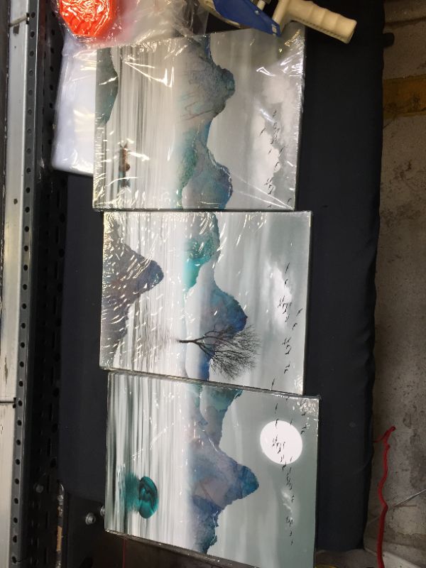 Photo 1 of 3pc canvas wall art 