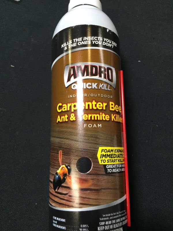 Photo 2 of 18 oz. Quick Kill Carpenter Bee, Ant, and Termite Killer Foam
