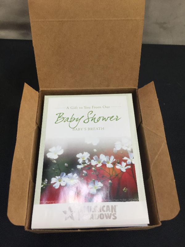 Photo 1 of American Meadows Wildflower Seed Packets Baby Shower Party Favors (Pack of 20) - Baby's Breath Wildflower Seed Packet Favors for Baby Showers and Sprinkles, Great Gift for Hostesses
