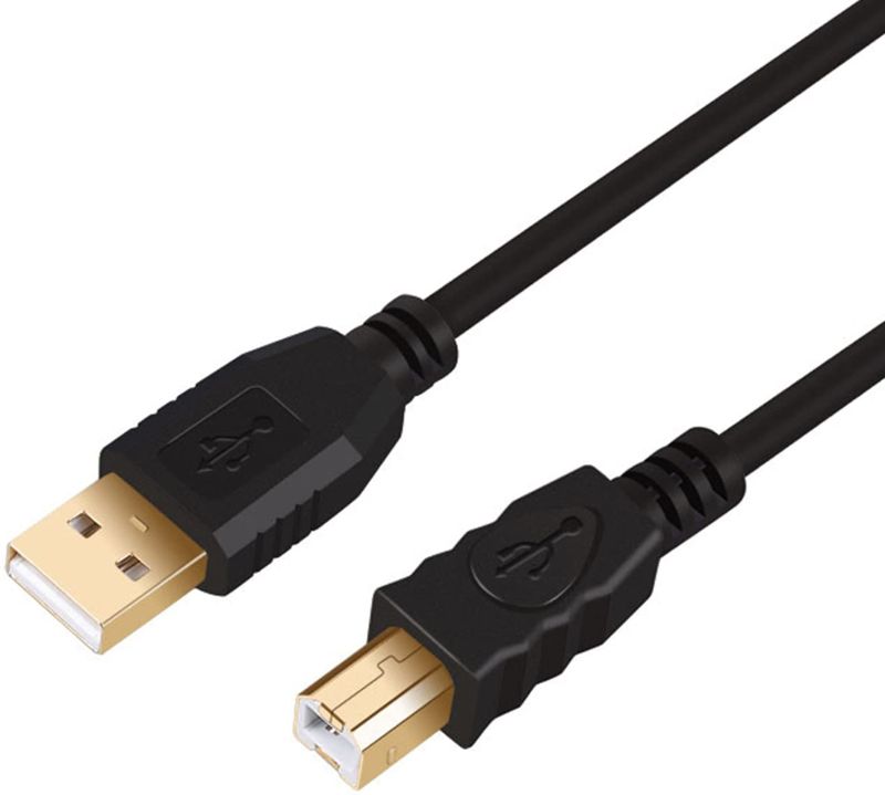 Photo 1 of Printer Cable 100Ft, Tanbin 100Feet Hi-Speed USB 2.0 Type A Male to Type B Male Printer Scanner Cable for HP, Canon, Lexmark, Epson, Dell, Xerox, Samsung etc
