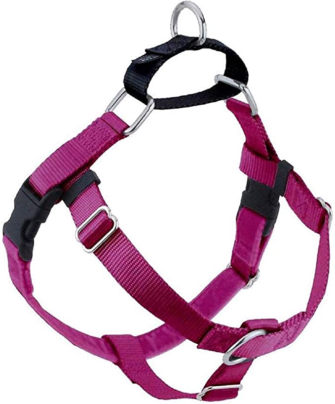 Photo 2 of 2 Hounds Design Freedom No Pull Dog Harness | Adjustable Gentle Comfortable Control for Easy Dog Walking | for Small Medium and Large Dogs | Made in USA Leash and Harness included (1 item) Large