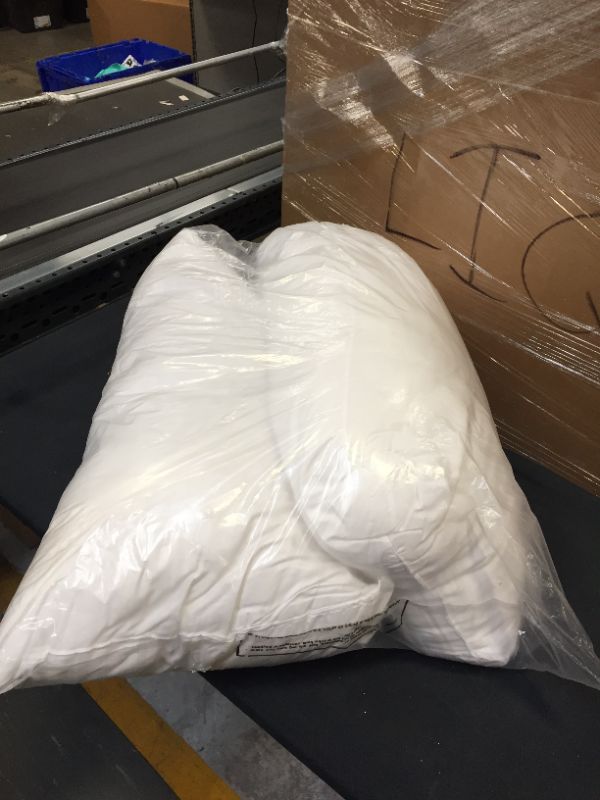 Photo 1 of 20x36inch WHITE PILLOW INSERTS. 2PCS. DIRT STAINS ON ITEM. 