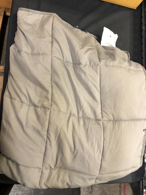 Photo 1 of 48"x72" Essentials Weighted Blanket Gray - Tranquility

