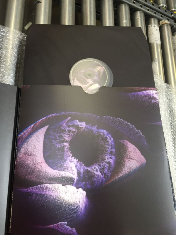 Photo 2 of Fear Inoculum (Limited Edition Vinyl)
