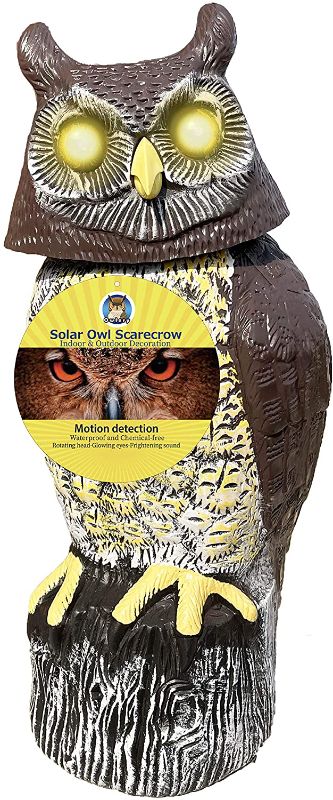 Photo 1 of Owlery Solar Owl with Flashing Eyes, Spinning Head and Realistic Tweets, Plastic Owl Decoration for Home, Garden, Patio and Fence
