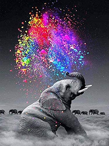 Photo 1 of Paint by Numbers for Kids & Adults & Beginner , DIY Oil Painting Gift Kits 16 x 20 inch Canvas (Colorful Elephant)
