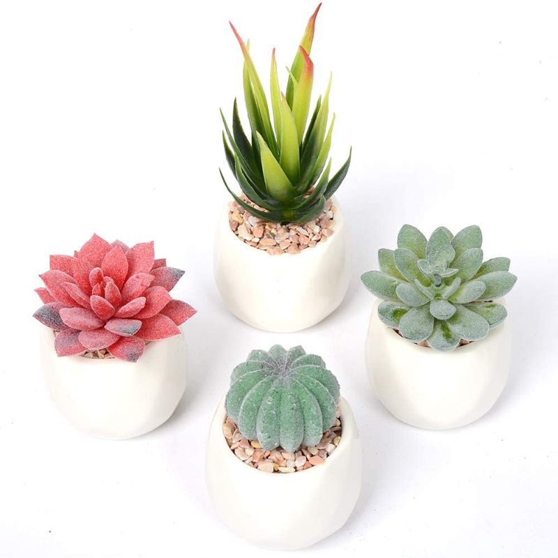 Photo 1 of Artificial Succulent Potted Plants Artificial Fake Succulents Plant Pots Assorted Decorative Faux Plastic Succulent Potted for Desk, Office, Living Room, and Home Decoration Set of 4 (Light Green)