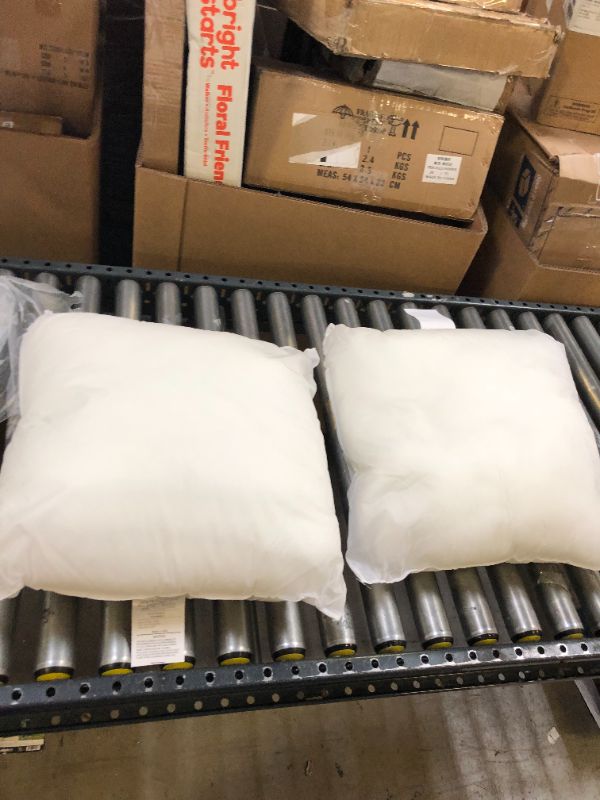 Photo 1 of 2 Pk generic 20"x20" throw pillow inserts 