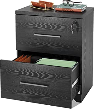 Photo 1 of DEVAISE 2-Drawer Wood Lateral File Cabinet with Lock for Office Home, Black
