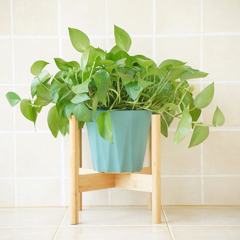 Photo 1 of BITLIFUN Plant Stand Mid Century Wood Pot Stand Indoor (Plant & Pot Not Included), Rustic Flower Pot Holder Plants Display Rack, Fits Up to 10" Pot Planter, Natural-10''
