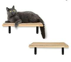 Photo 1 of Floating Wall Shelf With Cat Scratching Mat 0.79 Inch Thick Solid Rubber Wood 

