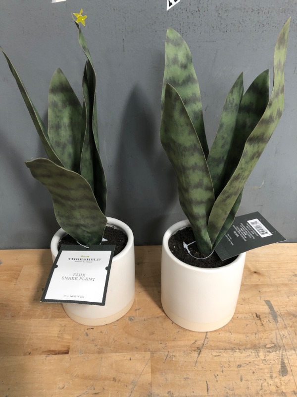 Photo 2 of (X2) Small Snake Plant in Ceramic Pot White - Threshold