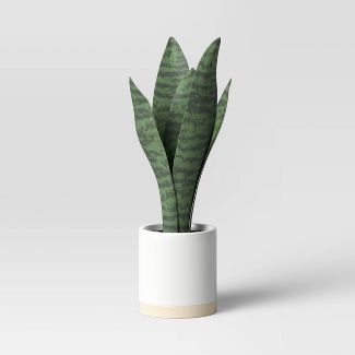 Photo 1 of (X2) Small Snake Plant in Ceramic Pot White - Threshold