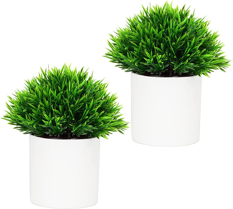 Photo 1 of (X2) Small Fake Plants, Nearly Natural Artificial Plants for Home Decor Indoor, 2 Pack Faux Plants in Pots for Living Room, Table, Bathroom, Bedroom, Kitchen, Office Decoration
