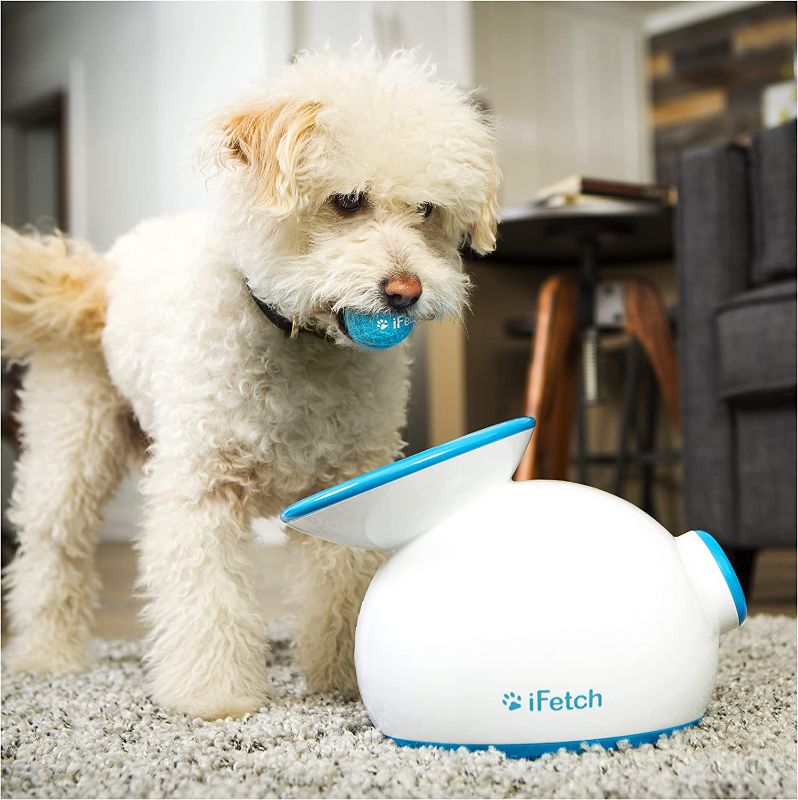 Photo 1 of iFetch Interactive Ball Launcher for Dogs – Launches Mini Tennis Balls, Small,Multicolored
