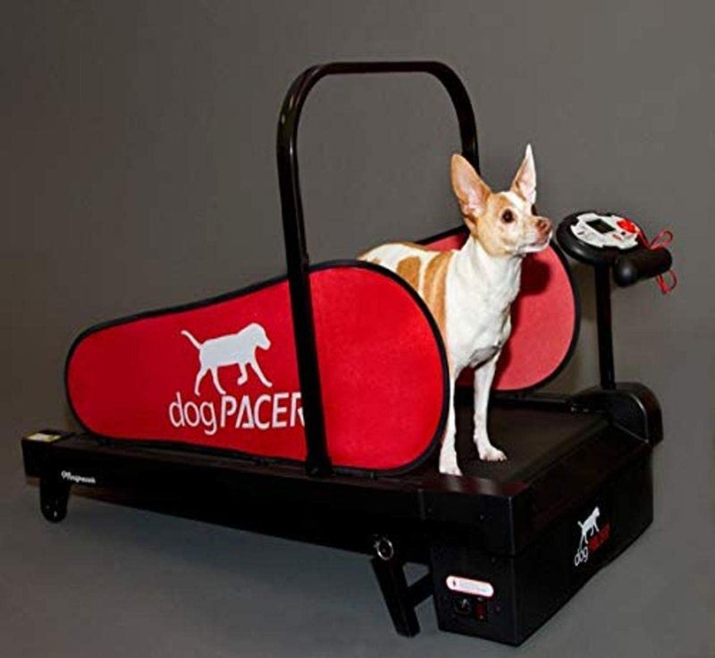 Photo 1 of dogPACER MiniPACER Treadmill
