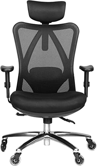 Photo 1 of Duramont Ergonomic Office Chair