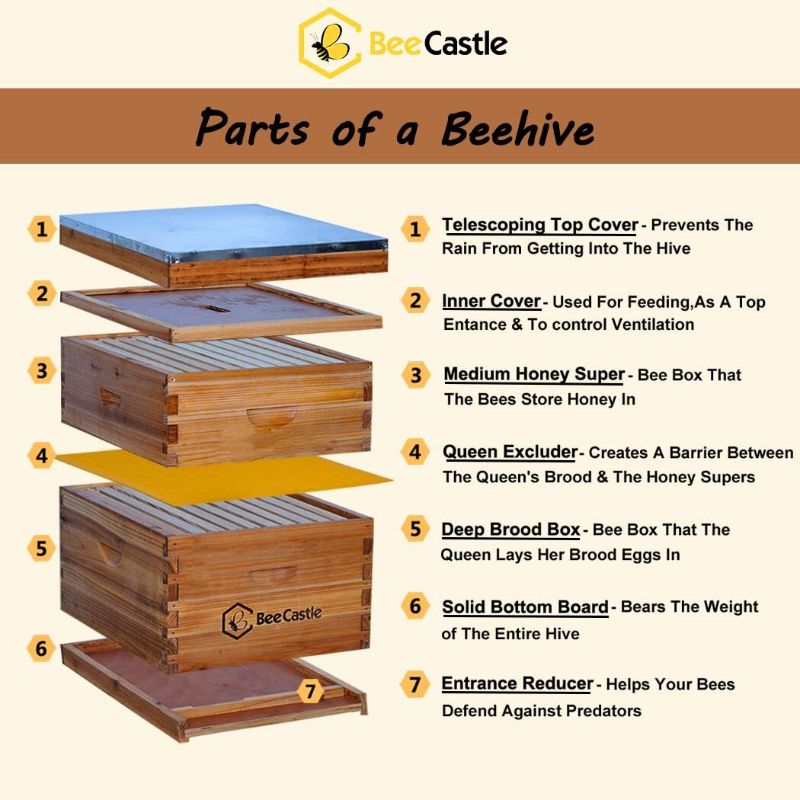 Photo 2 of 10-Frames Complete Beehive Kit, 100% Beeswax Coated Bee Hive Includes Frames and Beeswax Coated Foundation Sheet (2 Layer)
