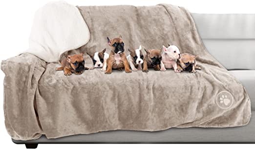 Photo 1 of 60 X 70" Waterproof Blanket for Pets - Reversible Throw Protects Couch, Car, and Bed from Spills, Stains, or Fur - Plush Blanket by Petmaker (Tan)