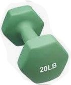 Photo 1 of (TORN MATERIAL) Epic Fitness Neoprene Dumbbell, 20LB
