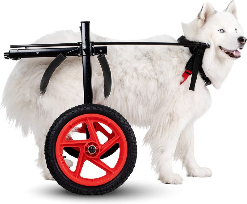 Photo 1 of Best Friend Mobility PRO Dog Wheelchair for Back Legs Dog Cart is Easy Adjustable -Choose Size for Your Dog Ranging from Medium to XL -Dog Hind Leg Wheels to Assist in Healing & Give Mobility (Large)