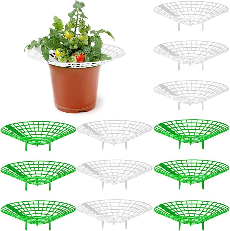 Photo 1 of 12 Pack Strawberry Plant Supports,Strawberry Supports Strawberry Plant Stand with 3 Sturdy Legs,Strawberry Growing Racks,Strawberry Growing Frame Garden Stand for Keeping Plant Clean in Rainy Days
