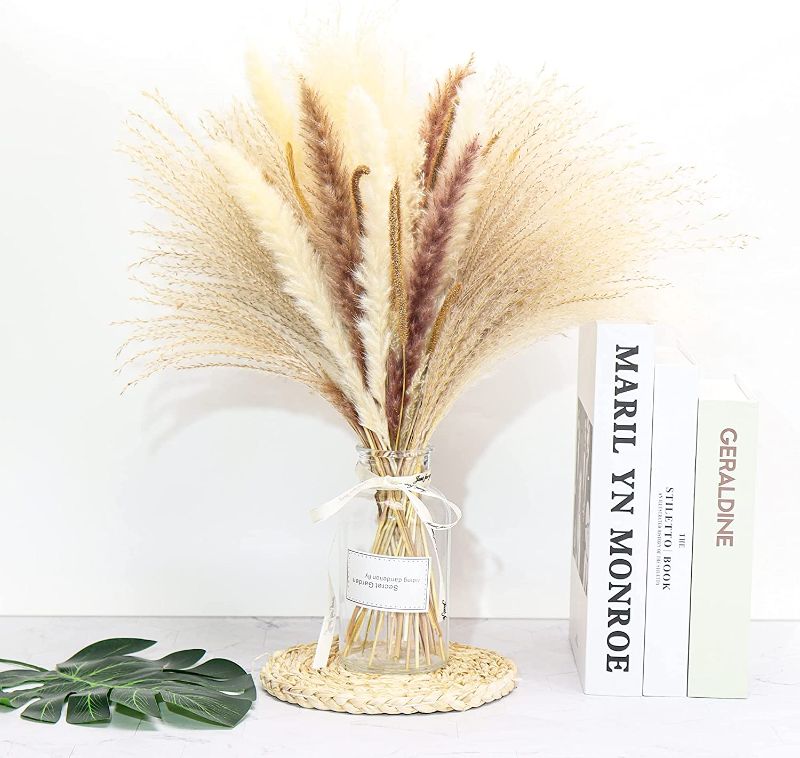 Photo 1 of 2- Mekorlody 65pcs Pampas Grass White Pampas Grass Decor, Real Dried Pamaps Grass Decorative Pampas Natural Fluffy Pompous Grass Boho Kitchen Living Room Decor,White Brown,17inch
