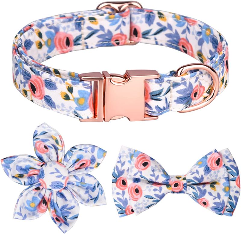 Photo 1 of bifousoy lg dog girl collar