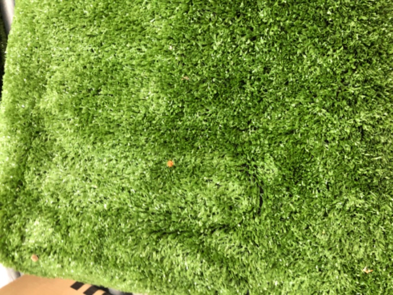 Photo 2 of **USED-DIRT MARKS-WRINKLED**
5FT V 8FT TURF RUG 