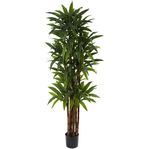 Photo 1 of **USED-MINOR DAMANGE**
Nearly Natural 78" Dracaena Tree with 8-Trunks & Over 200 Leaves in Green/Black
