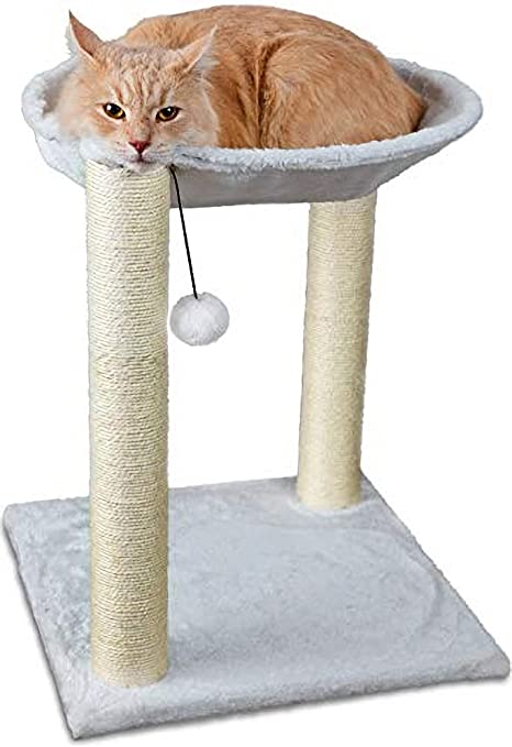 Photo 1 of BALTERDAY Classic Basic Edition,Cat Tree Furniture Kittens Activity Tower with Cat Scratching Post,Small Cat Tree Pet Play House,Cat Toys Stand House Grey
