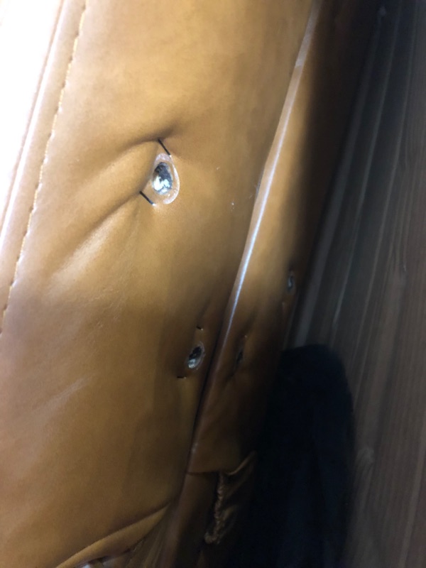 Photo 4 of (DAMAGE)INCOMPLETE Novogratz Brittany Camel Faux Leather Convertible Futon
**MINOR CUTS**