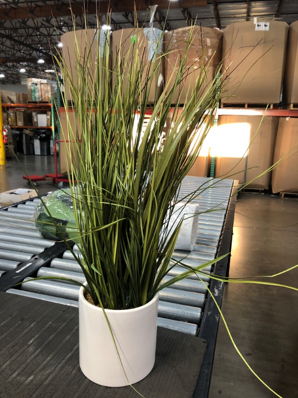 Photo 2 of 25" x 15" Artificial Onion Grass Arrangement in Ceramic Pot - Project 62™

