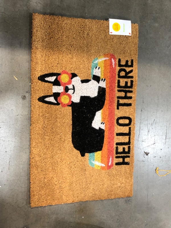 Photo 2 of 1'6x2'6 Hello Summer Dog Doormat Natural - Sun Squad
