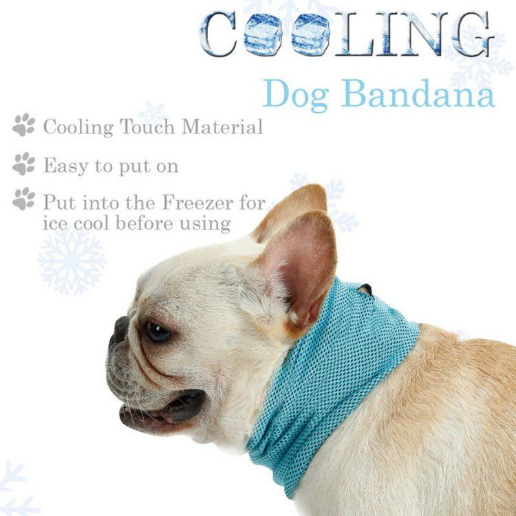 Photo 1 of Instant Cooling Dog Bandana-Keep Your Dog Cool In Summer
