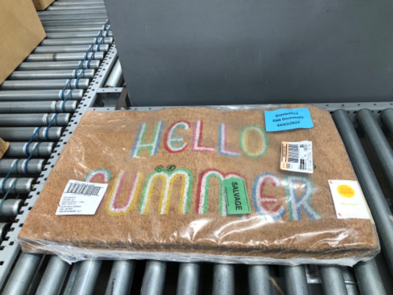 Photo 1 of 16x26 Hello Summer Doormat Brown - Sun Squad 4 PACK 