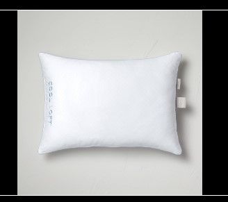 Photo 1 of /Queen Machine Washable Cool Loft™ Bed Pillow - Casaluna™
