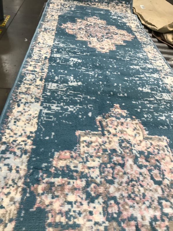 Photo 1 of 89X27IN NOURISON RUG
