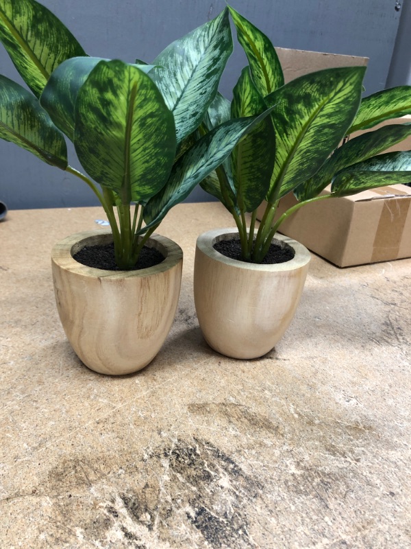 Photo 2 of 2- Small Variegated Leaf in Wood Pot - Threshold™
