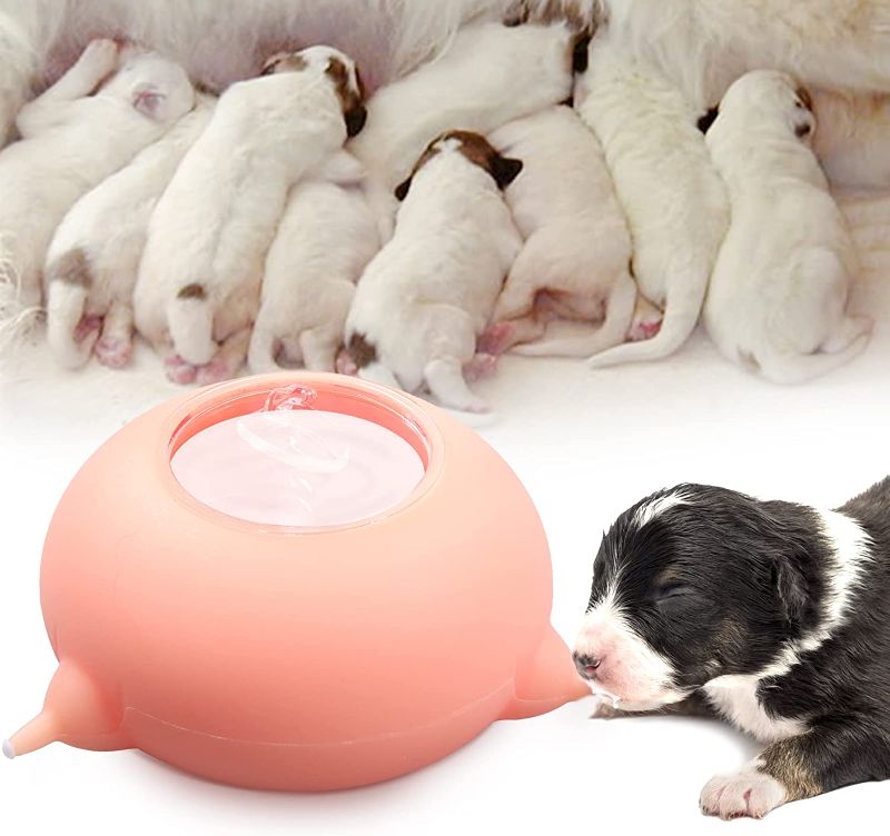 Photo 1 of ***STOCK PHOTO FOR REFERENCE ONLY***
Puppy Feeders for Multiple Puppies 