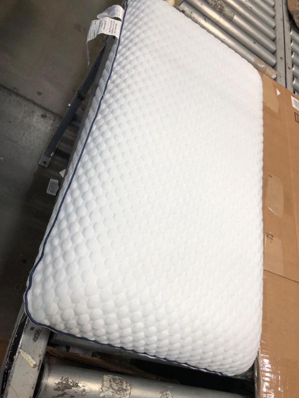 Photo 1 of **dusty**
16 x 29 gel memory foam pillow queen
