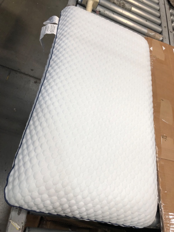 Photo 2 of **dusty**
16 x 29 gel memory foam pillow queen
