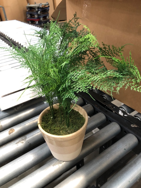 Photo 1 of 18.5" x 22" Faux Fern Potted Plant - Hearth & Hand™ with Magnolia

