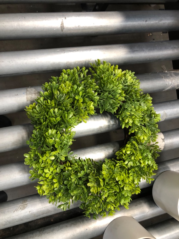 Photo 3 of 5 item bundle 
Verigated Plant - Threshold™ (x4)
Boxwood Mini Wreath - Threshold™
