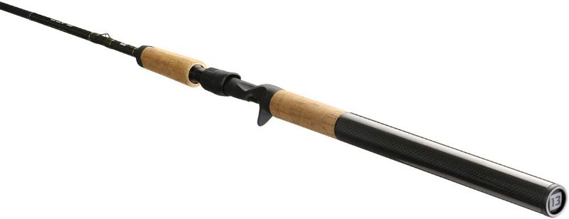 Photo 1 of 13 FISHING - Fate Steel - Salmon/Steelhead Baitcast Fishing Rods
