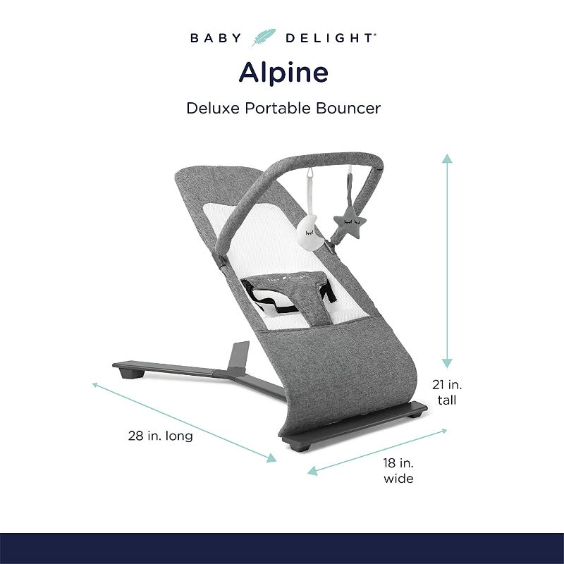 Photo 1 of Baby Delight Alpine Deluxe Portable Bouncer, Infant, 0 – 6 months, Charcoal Tweed